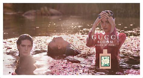 nuovo profumo gucci per uomo|gucci bloom perfumative.